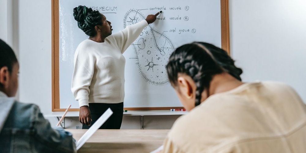 Dia Internacional das Mulheres e Meninas na Ciência é comemorado em 11 de fevereiro